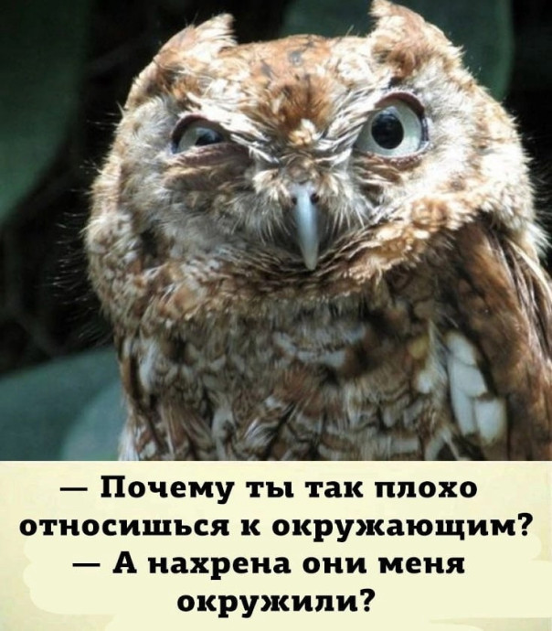 Хочу побыть наедине с собой (один). Но меня везде окружают люди. Хочу побыть наедине с собой (один). Но меня везде окружают люди.