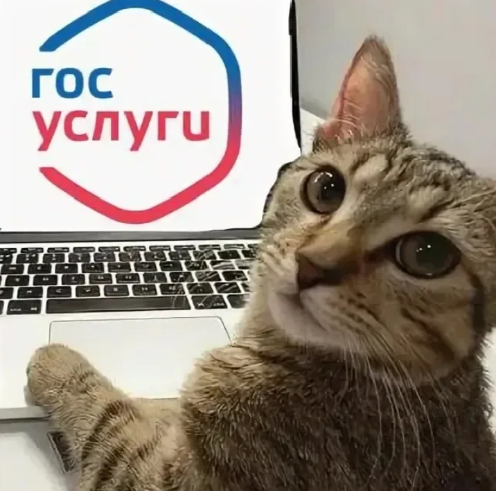 Мой марлезонский балет. Часть следующая