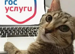 Мой марлезонский балет. Часть следующая Мой марлезонский балет. Часть следующая