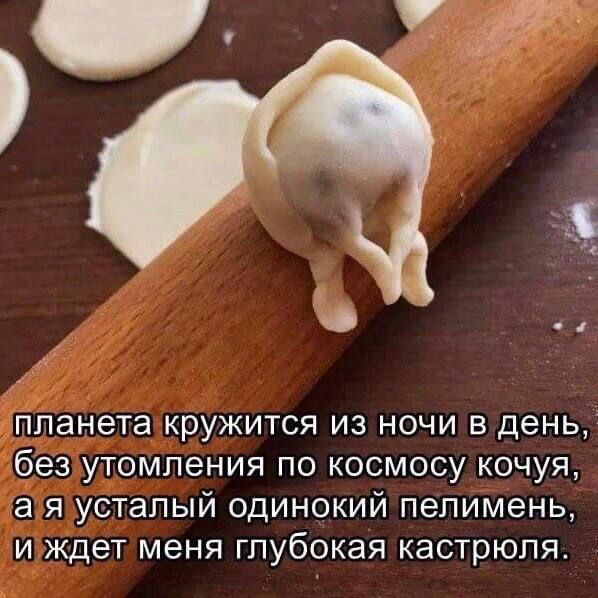Ода пельменям. Ода пельменям.