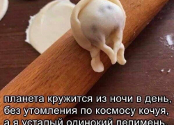 Ода пельменям.