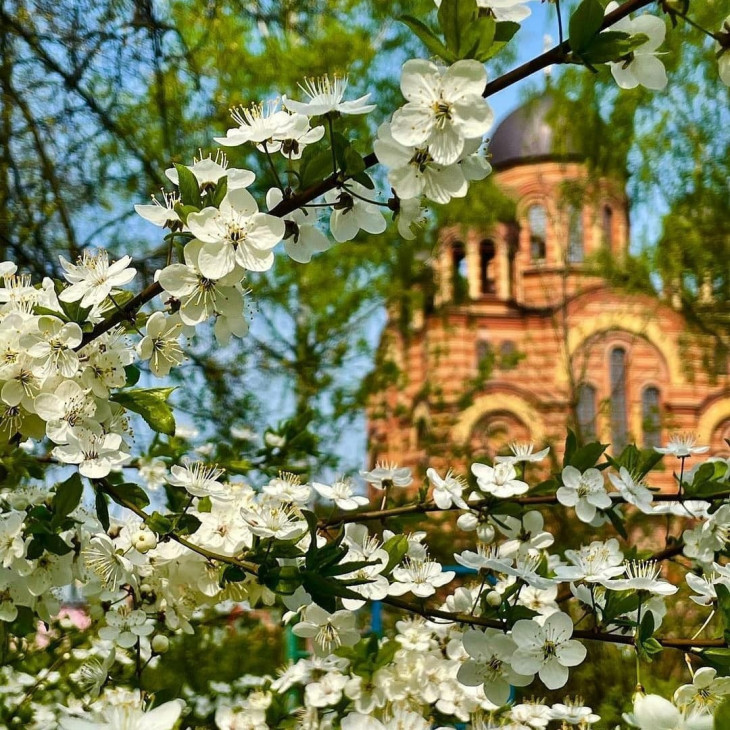 Последний звонок и другие события. Последний звонок и другие события.
