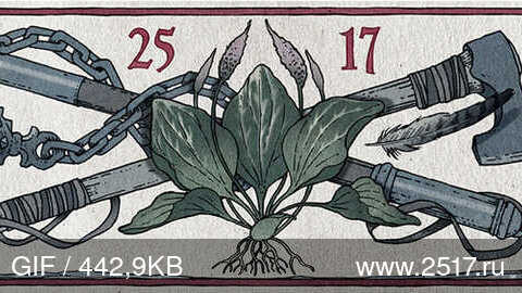 25/17 Русский подорожник 25/17 Русский подорожник